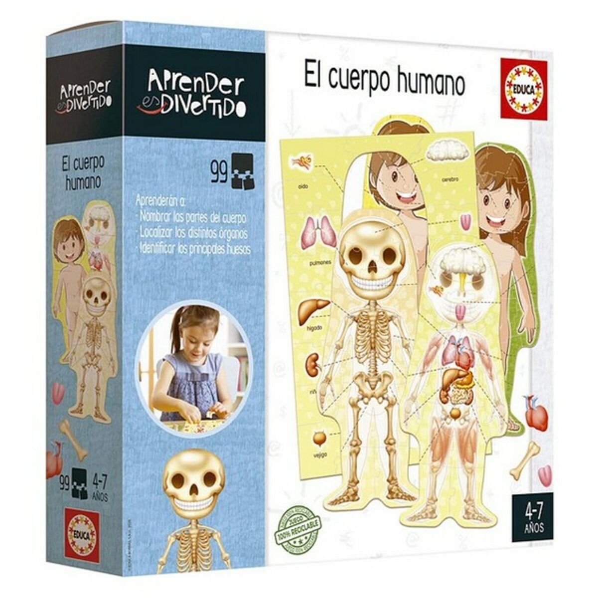 Educa - Jogo Educativo El Cuerpo Humano Educa 18701 (ES)