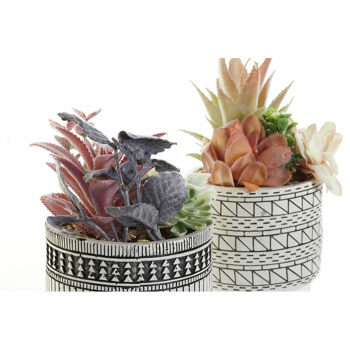 imagem de Planta Decorativa DKD Home Decor Catos Resina Polietileno 11 x 11 x 21 cm (2 Unidades)2