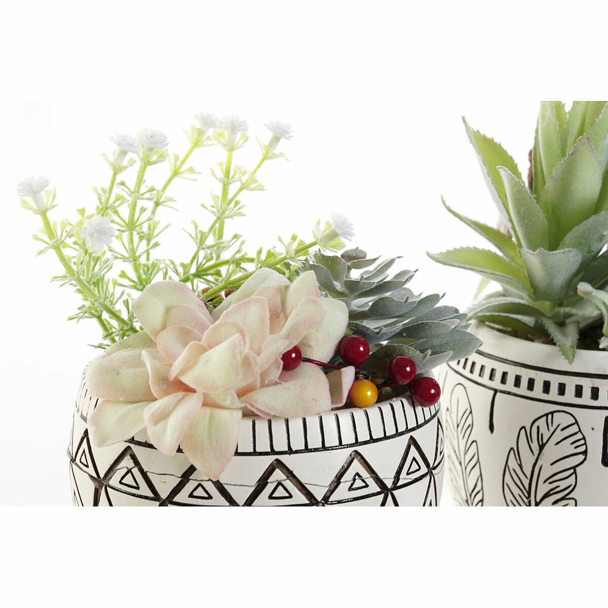 imagem de Planta Decorativa DKD Home Decor Resina Polietileno Catos 12 x 12 x 18 cm (2 Unidades)2