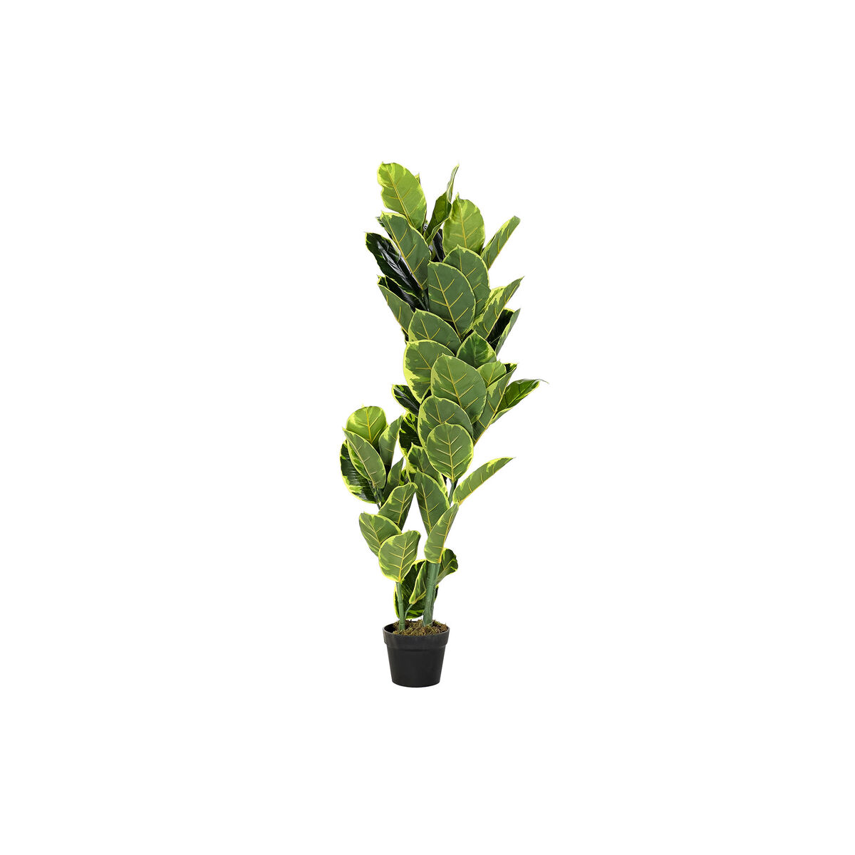 imagem de Planta Decorativa DKD Home Decor Polietileno Verde 40 x 40 x 120 cm Urbana1