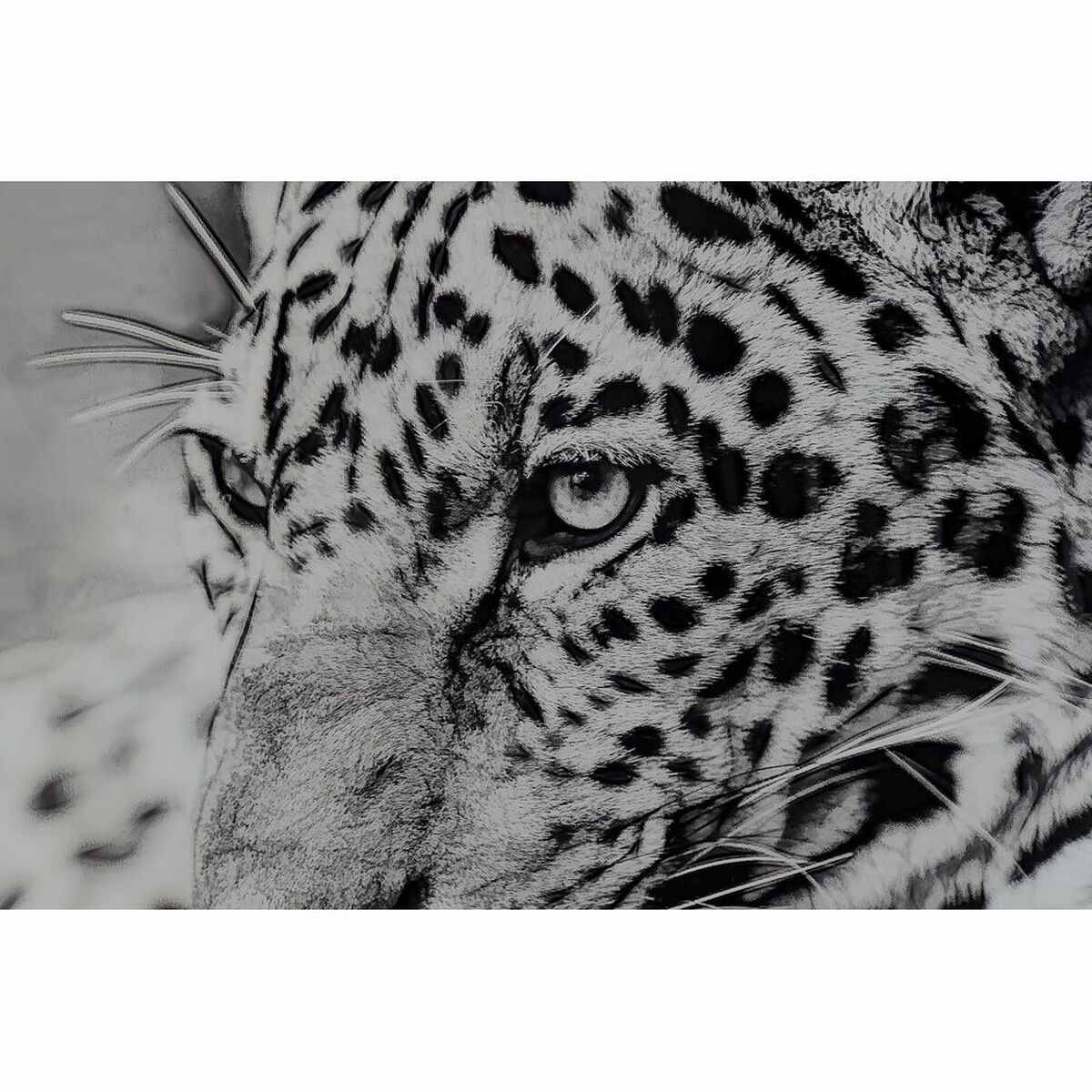 imagem de Pintura DKD Home Decor 100 x 2,5 x 100 cm Leopardo Colonial (2 Unidades)2