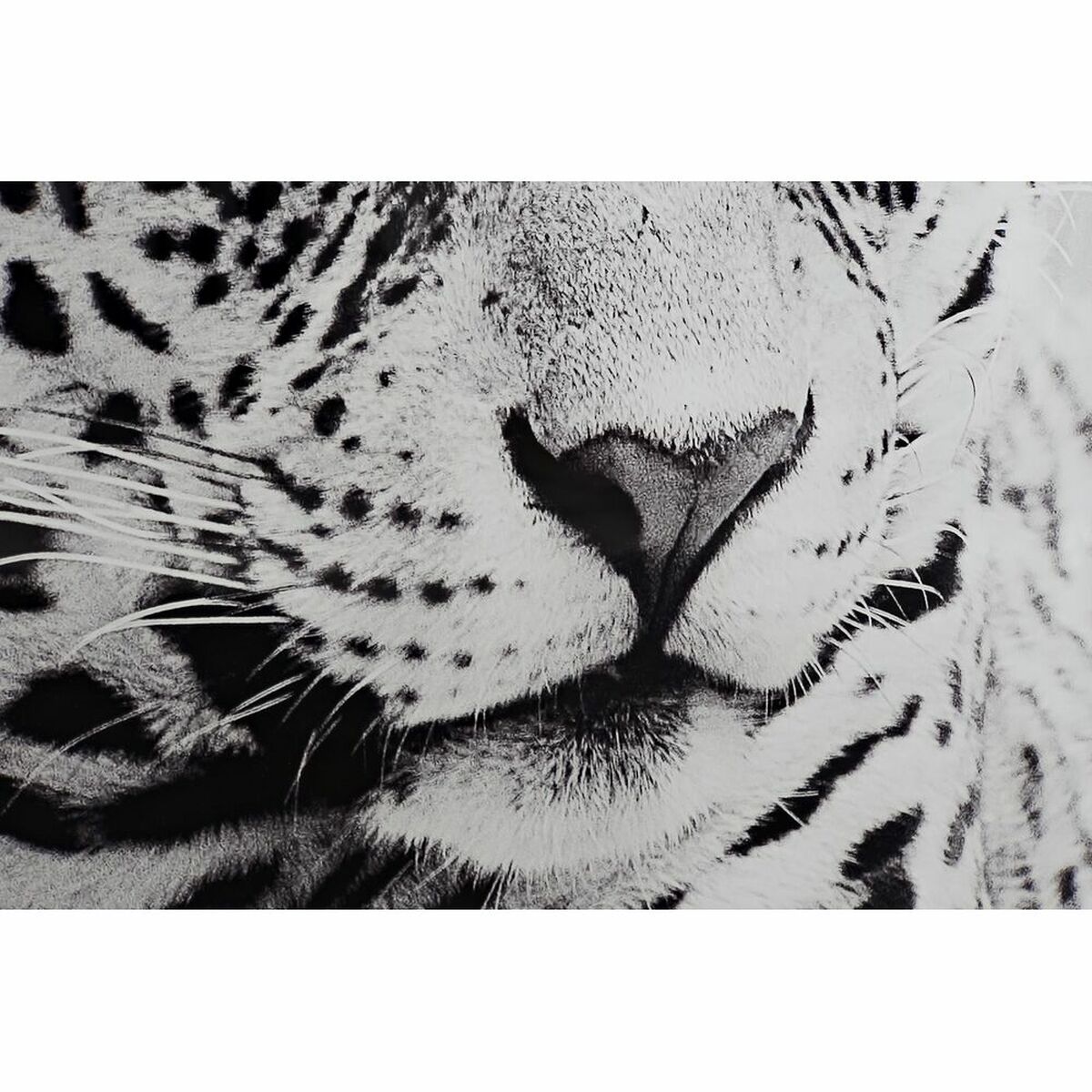 imagem de Pintura DKD Home Decor 100 x 2,5 x 100 cm Leopardo Colonial (2 Unidades)3