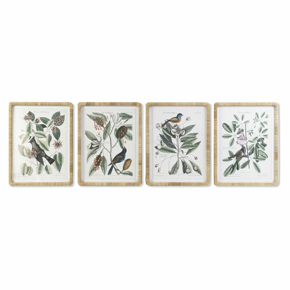 DKD Home Decor - Pintura DKD Home Decor 50 x 2,5 x 65 cm Shabby Chic Plantas botânicas (4 Peças)