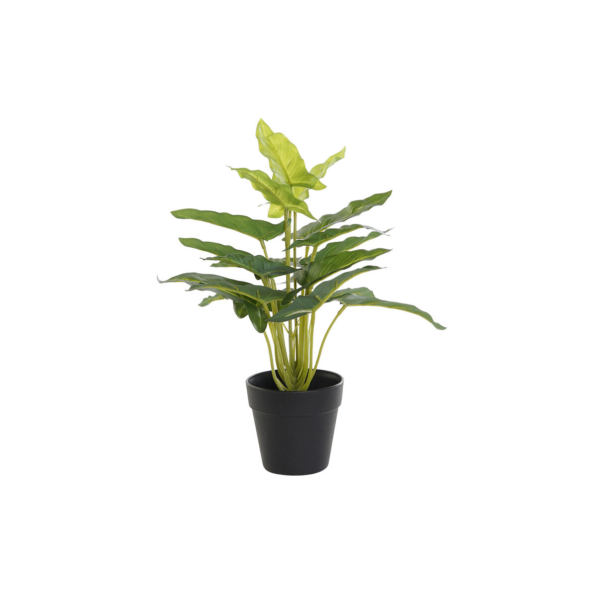 DKD Home Decor - Planta Decorativa DKD Home Decor PVC Polipropileno 25 x 25 x 30 cm