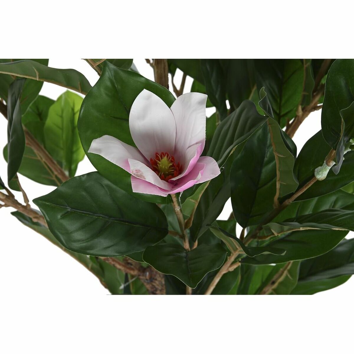 imagem de Planta Decorativa DKD Home Decor Cor de Rosa Verde PE (60 x 60 x 125 cm)2