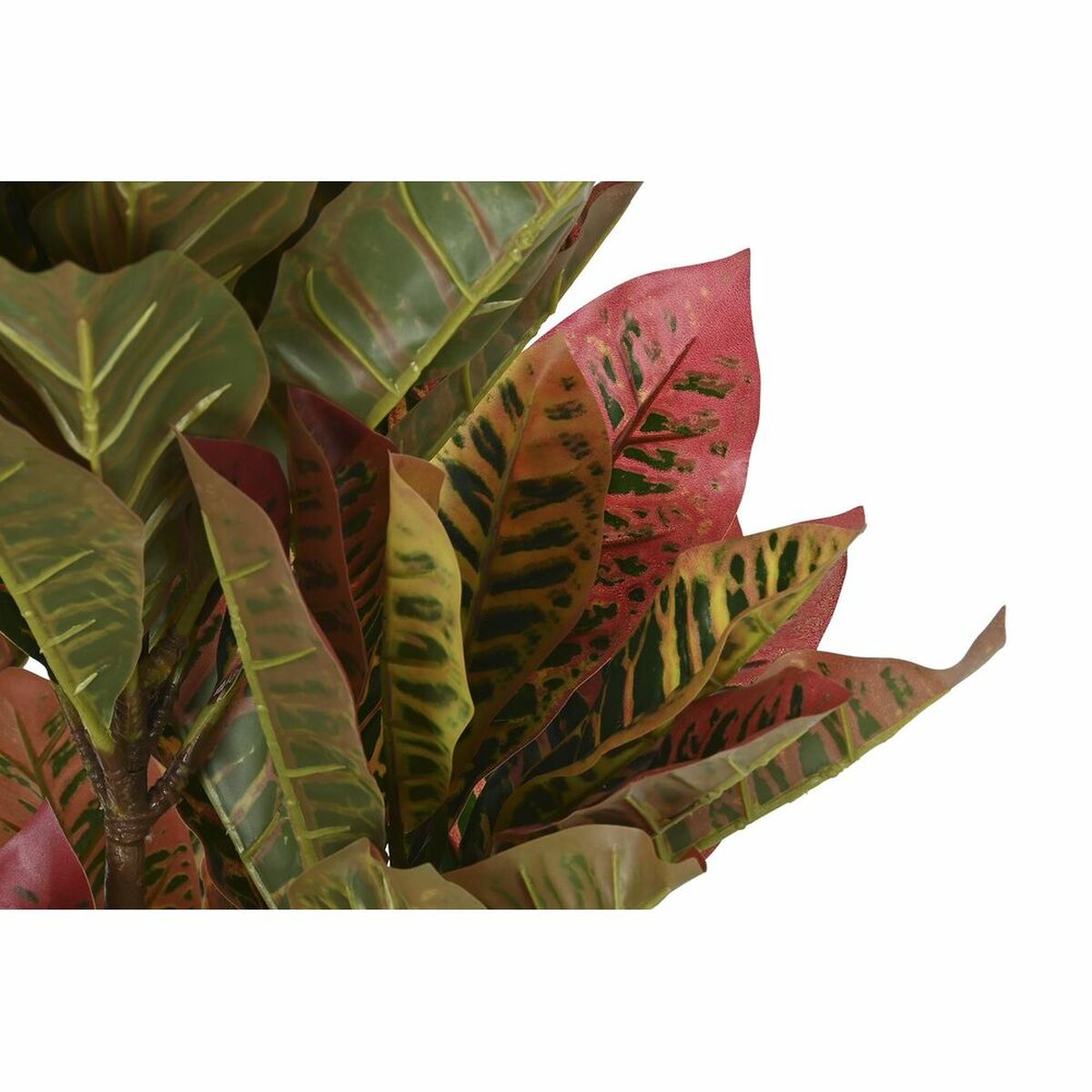 imagem de Planta Decorativa DKD Home Decor Castanho Polietileno Verde 50 x 50 x 140 cm2