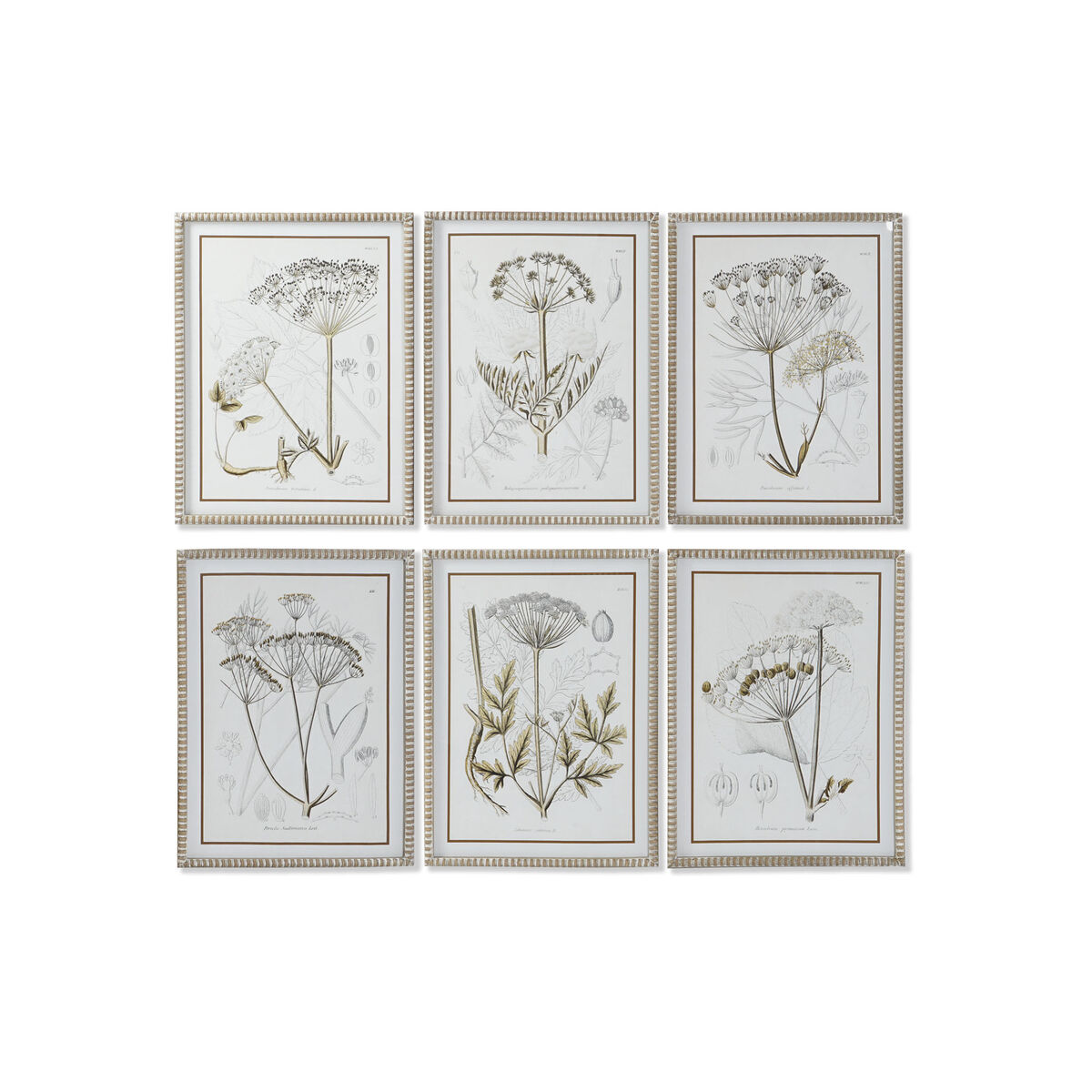 DKD Home Decor - Pintura DKD Home Decor Moderno Plantas botânicas 45 x 2,5 x 60 cm (6 Unidades)