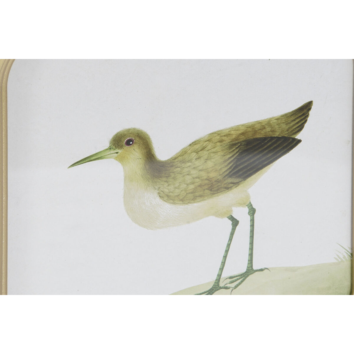 imagem de Pintura DKD Home Decor Pássaros Cottage 30 x 2 x 30 cm (6 Unidades)2