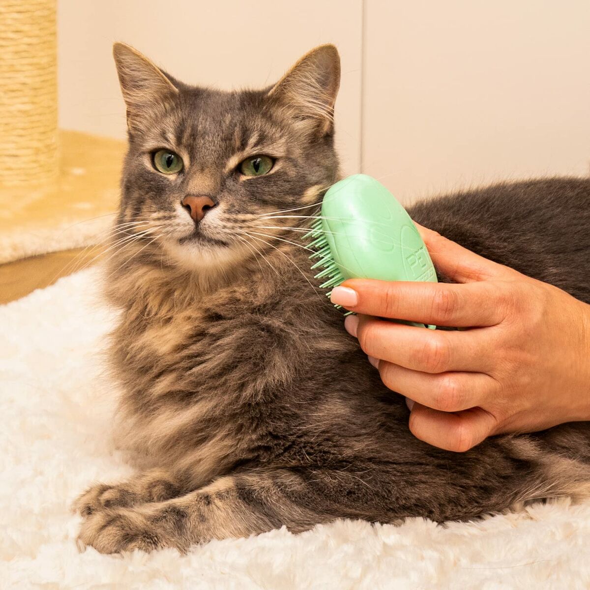 imagem de Escova Tangle Teezer   Animais de Estimação Verde4